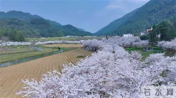 涪陵到大木花谷