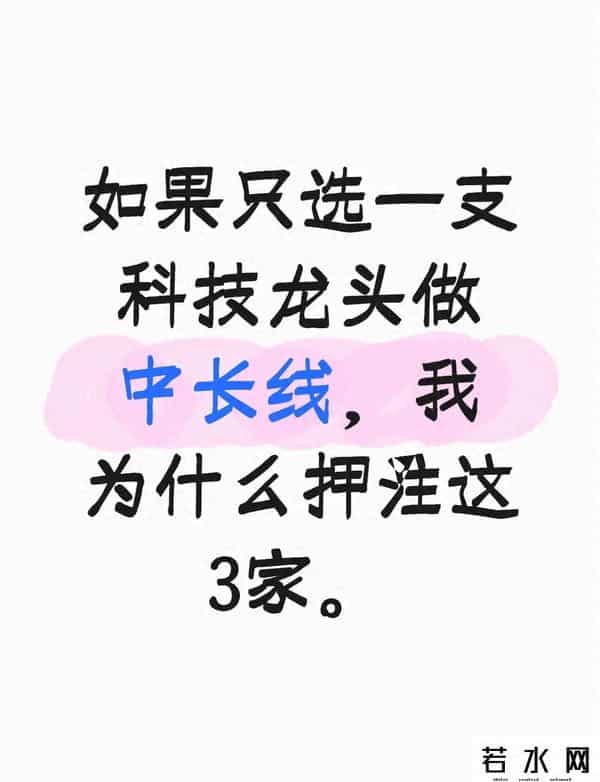如果只选一支科技龙头做中长线，我为什么押注这3家
