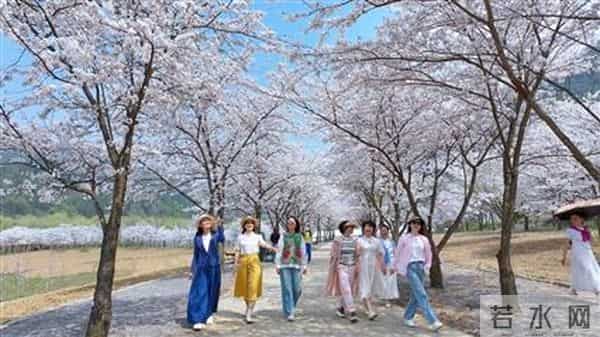 涪陵到大木花谷