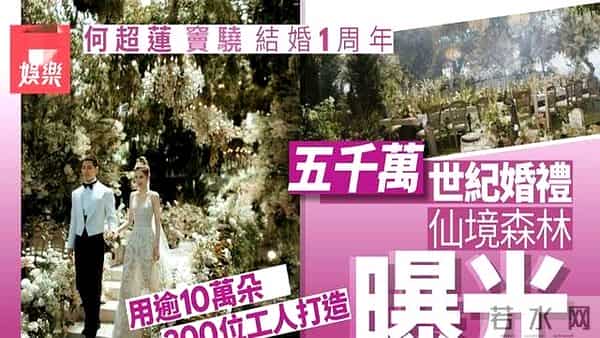 窦骁晒何超莲做的雪花酥