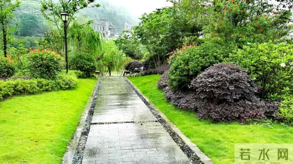 隆鑫花漾的山谷