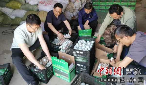 和黄御峰园:珲春市敬信镇第一书记组团“代言”助农产品销售 促乡村振兴