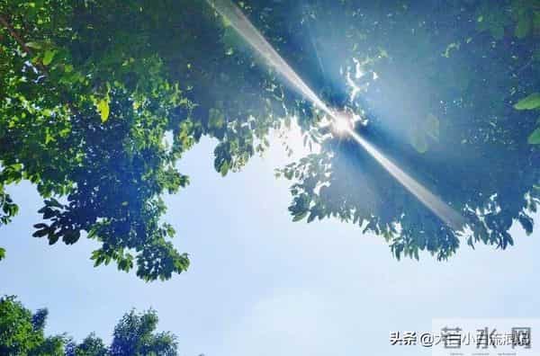 果儿姐：贵州不但有暖心的王果儿和有趣的毛毛姐，更有独特的美食，好嗨哟