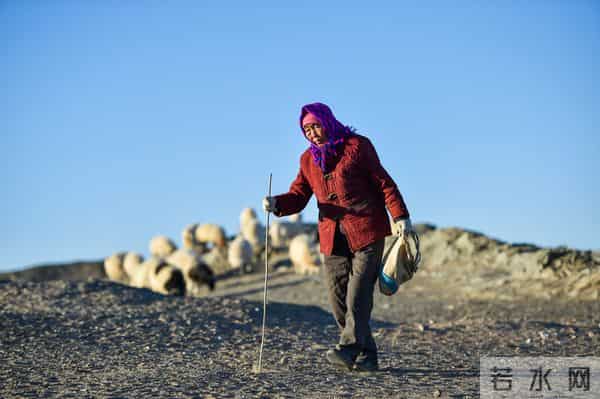 骑尼玛：“守边奶奶”尼玛：18万公里巡边路，53载家国情