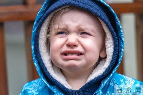 我的美丽日志哪个好