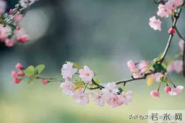 孩子你慢慢来妈妈会等你