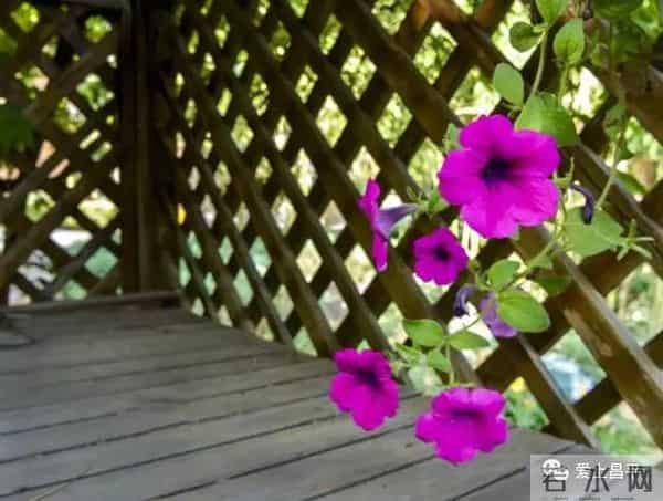 拉风娱乐：吐血盘点昌平景区最拉风的轰趴地！收藏了假期挨个去！