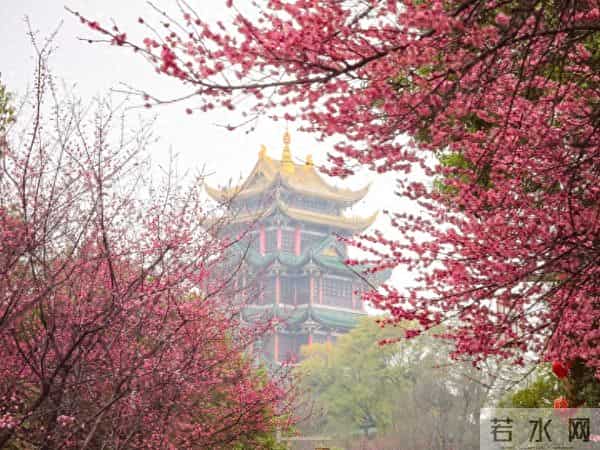 鸿恩寺儿童公园