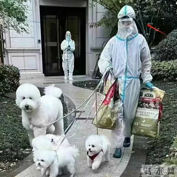 李佳琪停播原因