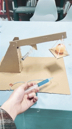 幼儿科学小实验