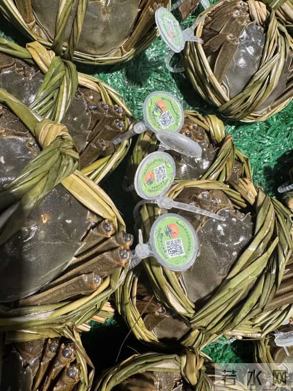 手机壳团购：型号蟹卡“标价”高背后：1—4折可入手，有品牌蟹卡被“黄牛”拒收 - 大闸蟹市场调查·蟹卡乱局②