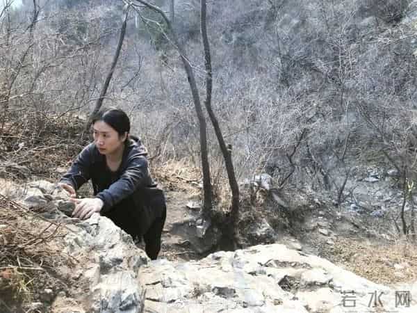 芙蓉姐:“芙蓉姐姐”:从万人嘲笑到身家过亿,她才是最清醒的那一个