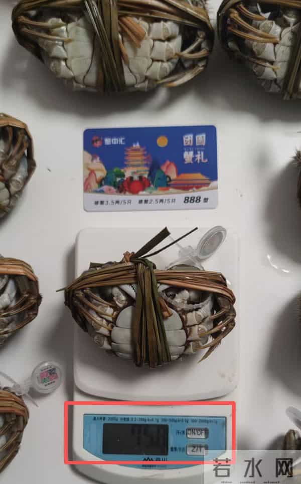 手机壳团购：型号蟹卡“标价”高背后：1—4折可入手，有品牌蟹卡被“黄牛”拒收 - 大闸蟹市场调查·蟹卡乱局②