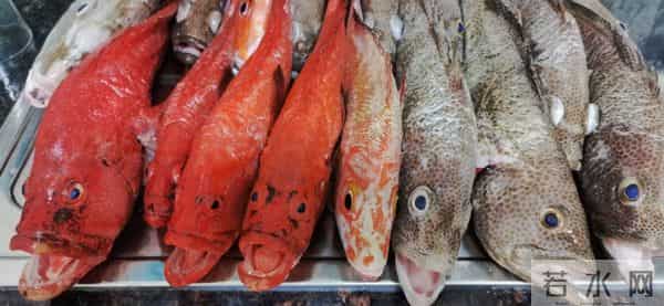 重庆大叔坐家门口沙发上看海