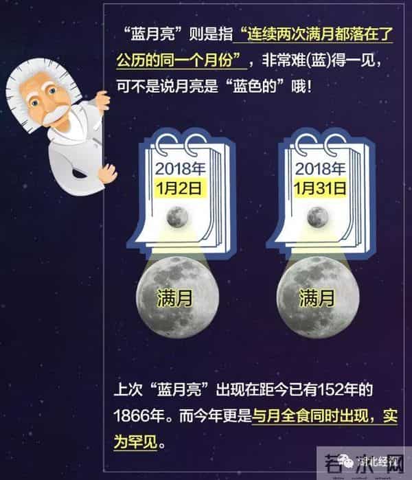 冷的噻:冷得噻!武汉多处湖泊结了冰!市民:能踩着玩吗?丨最武汉