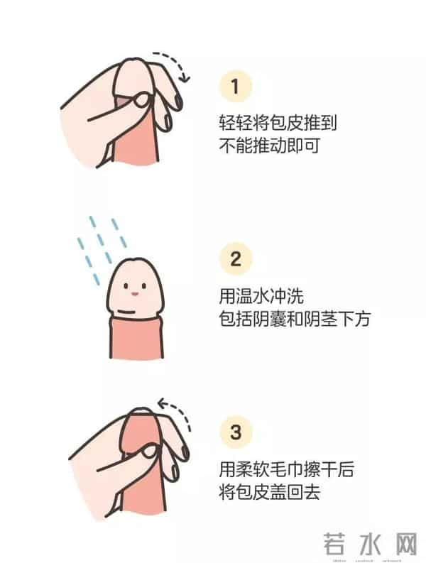 小JJ：男宝私处说明书：包皮、蛋蛋、小 JJ，这些问题必须得知道