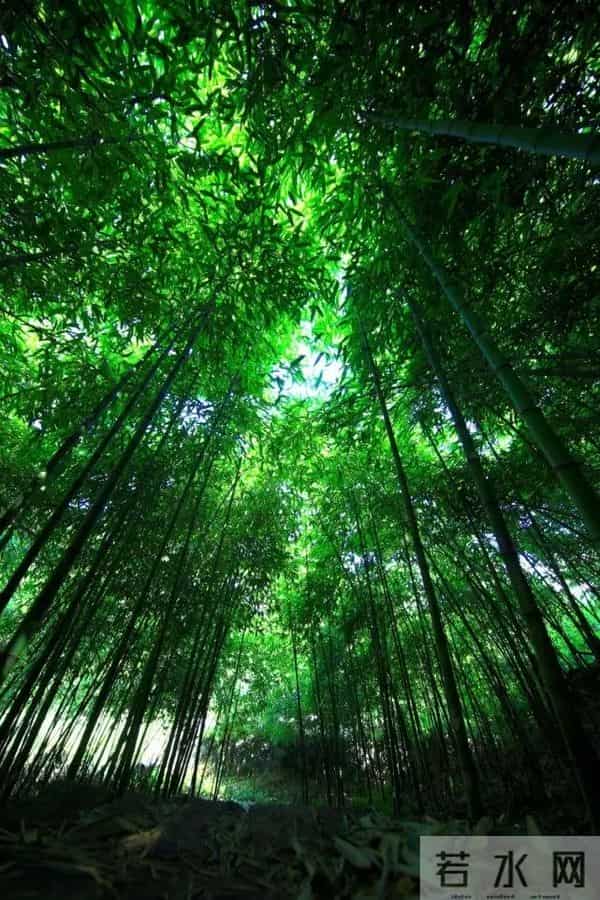 贵州避暑农家乐包吃住