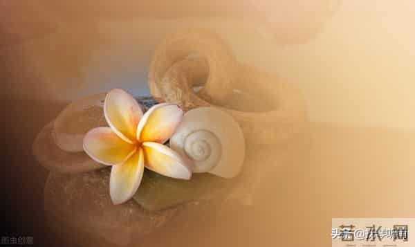 宋亚轩中考成绩多少分