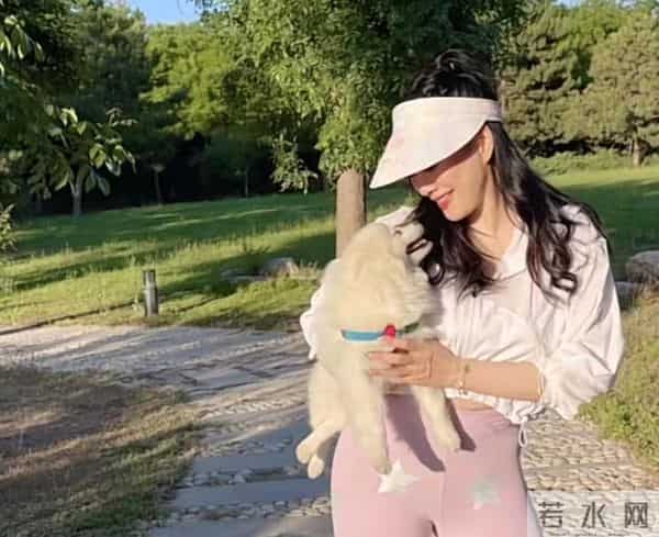 钟丽缇怀孕：52岁钟丽缇去医院被疑怀四胎！坐轮椅脸苍白，当场下跪对老公表白