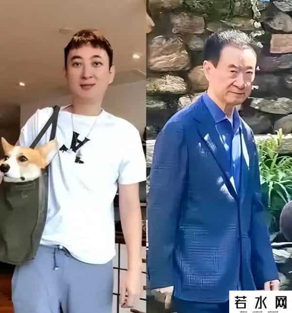 王健林被限制高消费！万达被强制执行4亿，王思聪在外泡妞赌博