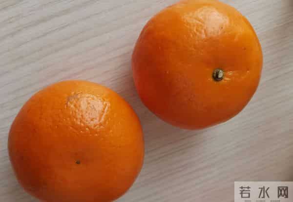 沃柑泡药：沃柑“泡药”后直接上市，果农自己不吃的背后，谁受益？谁买单？