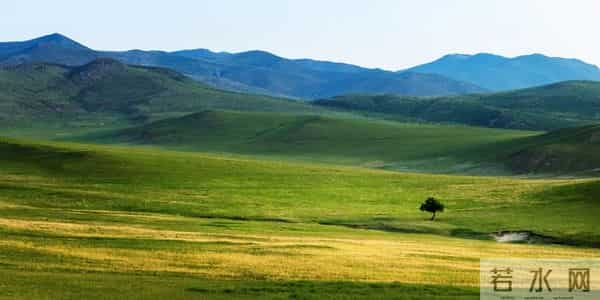 我的美丽日志哪个好