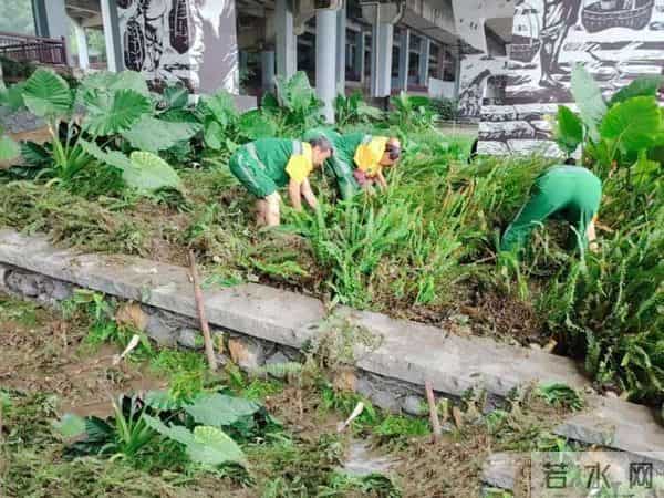 重庆江湾城：闻“汛”而动！重庆江北城市管理部门连夜奋战保畅通