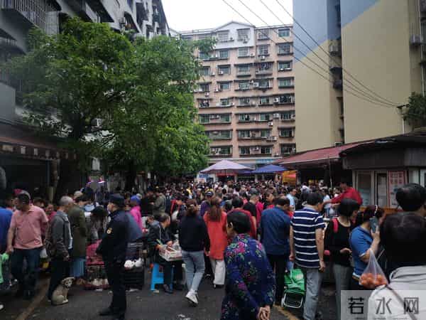 重庆宠物用品批发市场