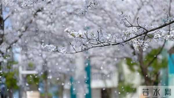 涪陵到大木花谷