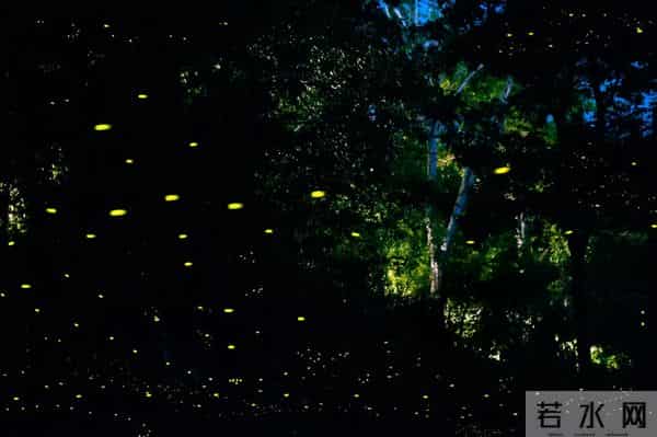 西双版纳住宿攻略推荐