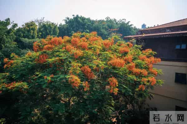 西双版纳住宿攻略推荐
