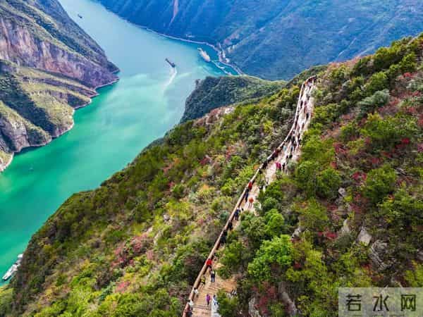 重庆打折网：周末圈 - 免费+半价！重庆妹儿快来“捡趴活”~