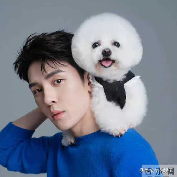 李佳琪停播原因