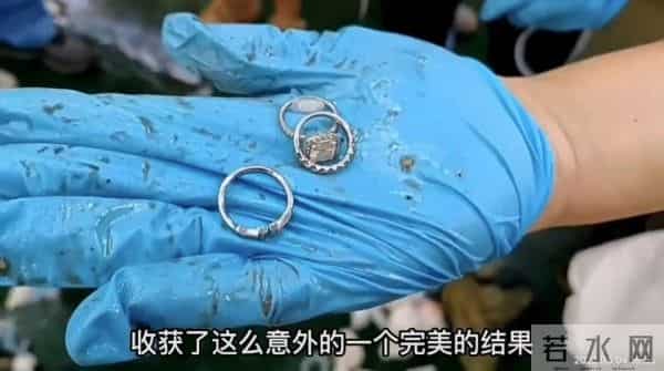 保姆误扔3枚钻戒价值20万