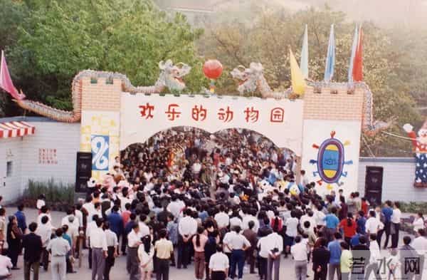 杨家坪：小布丁·早安 - 地名里的重庆：杨家坪因姓得名，还藏着老重庆的暗号