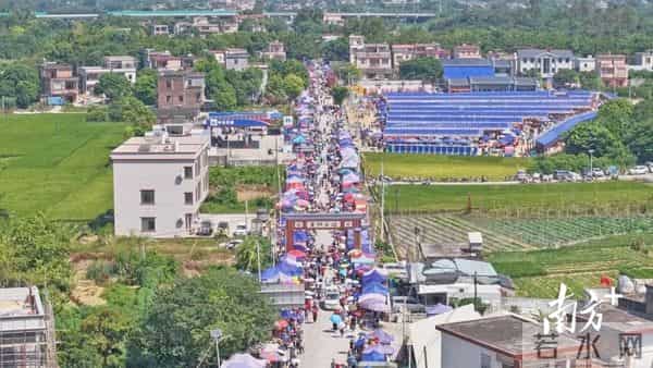 洋版李宗瑞:南方深读丨解析阳春重阳古墟“破圈”之路