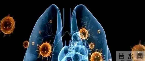 李文亮老婆：“新冠吹哨人”李文亮离世后，他的妻子付雪洁，如今生活过的怎样