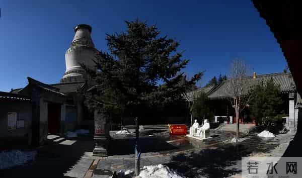 毛居:1948年毛主席在五台山抽中了上上签,却对老僧摇头:感谢您的好意