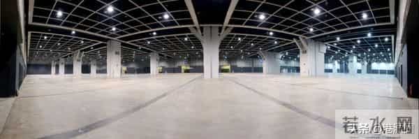 余雅颖：香港这个“清流”富三代，每天都在给市民发钱