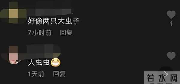 重庆猪儿虫轻轨