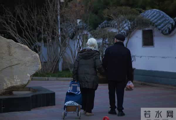 我的美丽日志哪个好