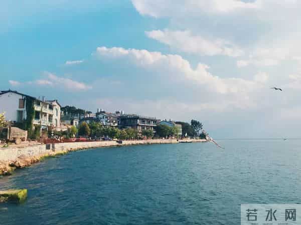 杨丽萍住所曝光