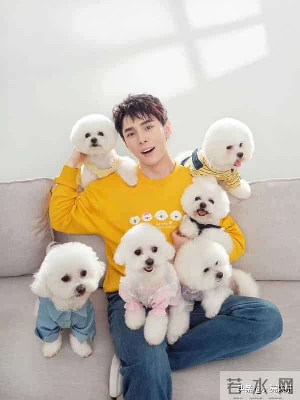 李佳琪停播原因