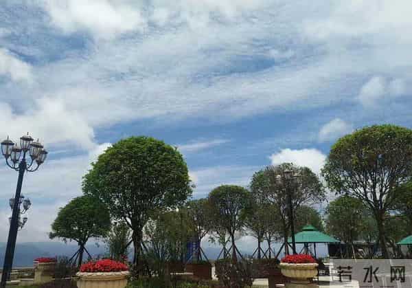 隆鑫花漾的山谷