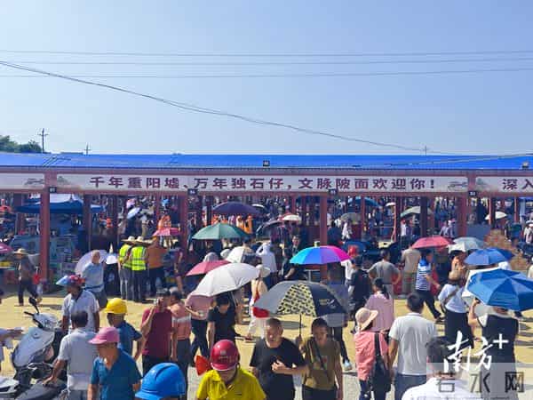 洋版李宗瑞:南方深读丨解析阳春重阳古墟“破圈”之路