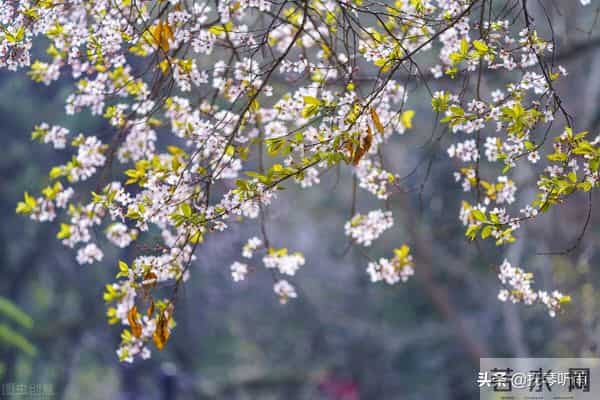 宋亚轩中考成绩多少分