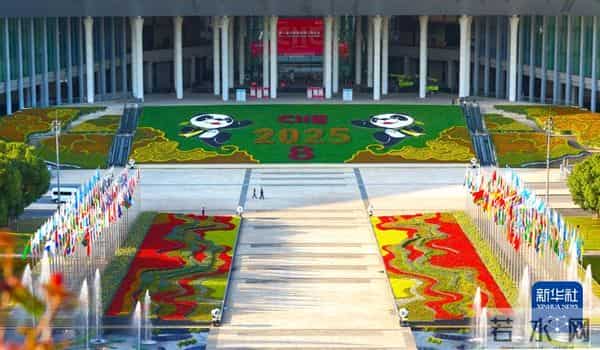 秀家：新华网财经观察丨“全勤生”的进博之约