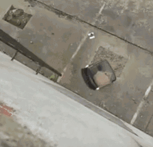 升降椅爆炸:你坐的那张椅子,随时可能爆炸!有人被炸飞!赶紧自查