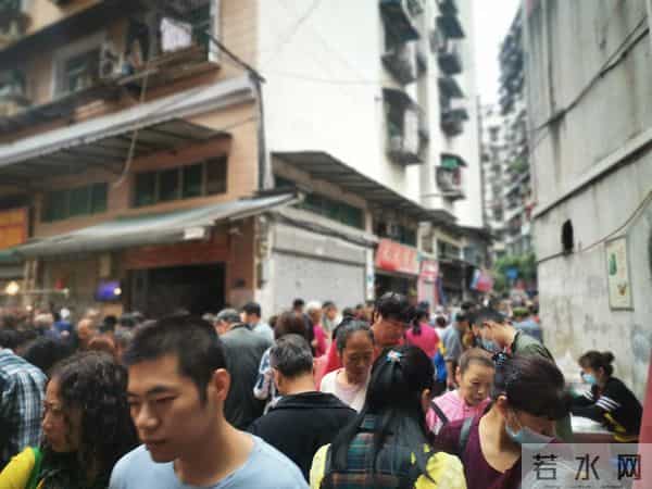 重庆宠物用品批发市场