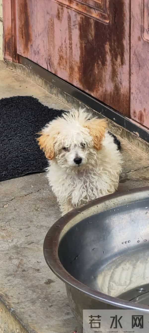 贾沛然：“21岁确诊超雄，但我不是天生坏种”